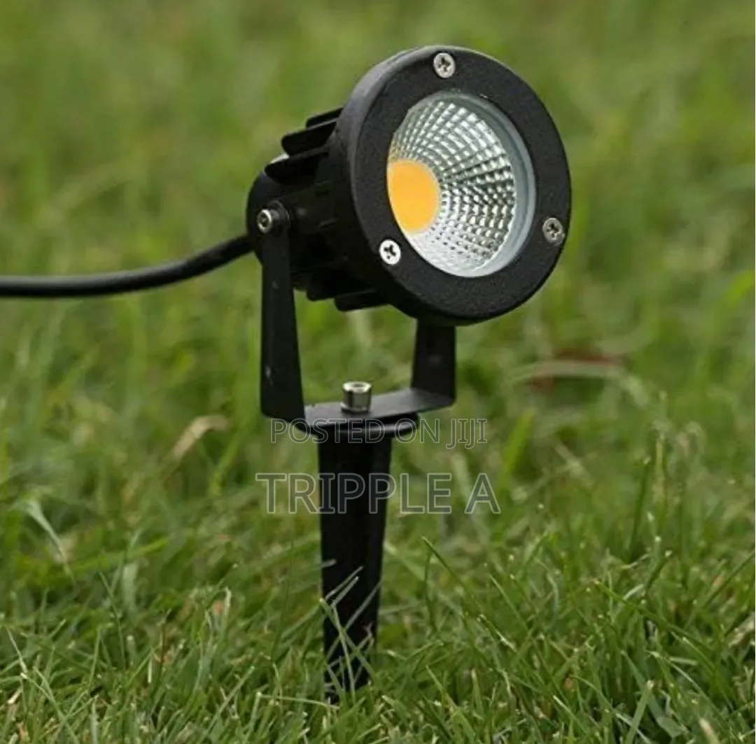 Adjustable Spot and Spike Light