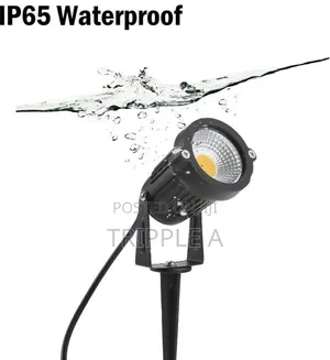 Adjustable Spot and Spike Light