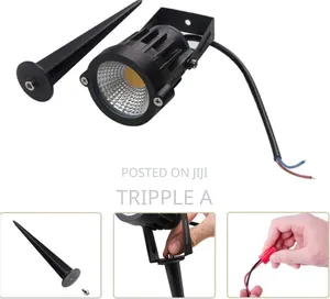 Adjustable Spot and Spike Light