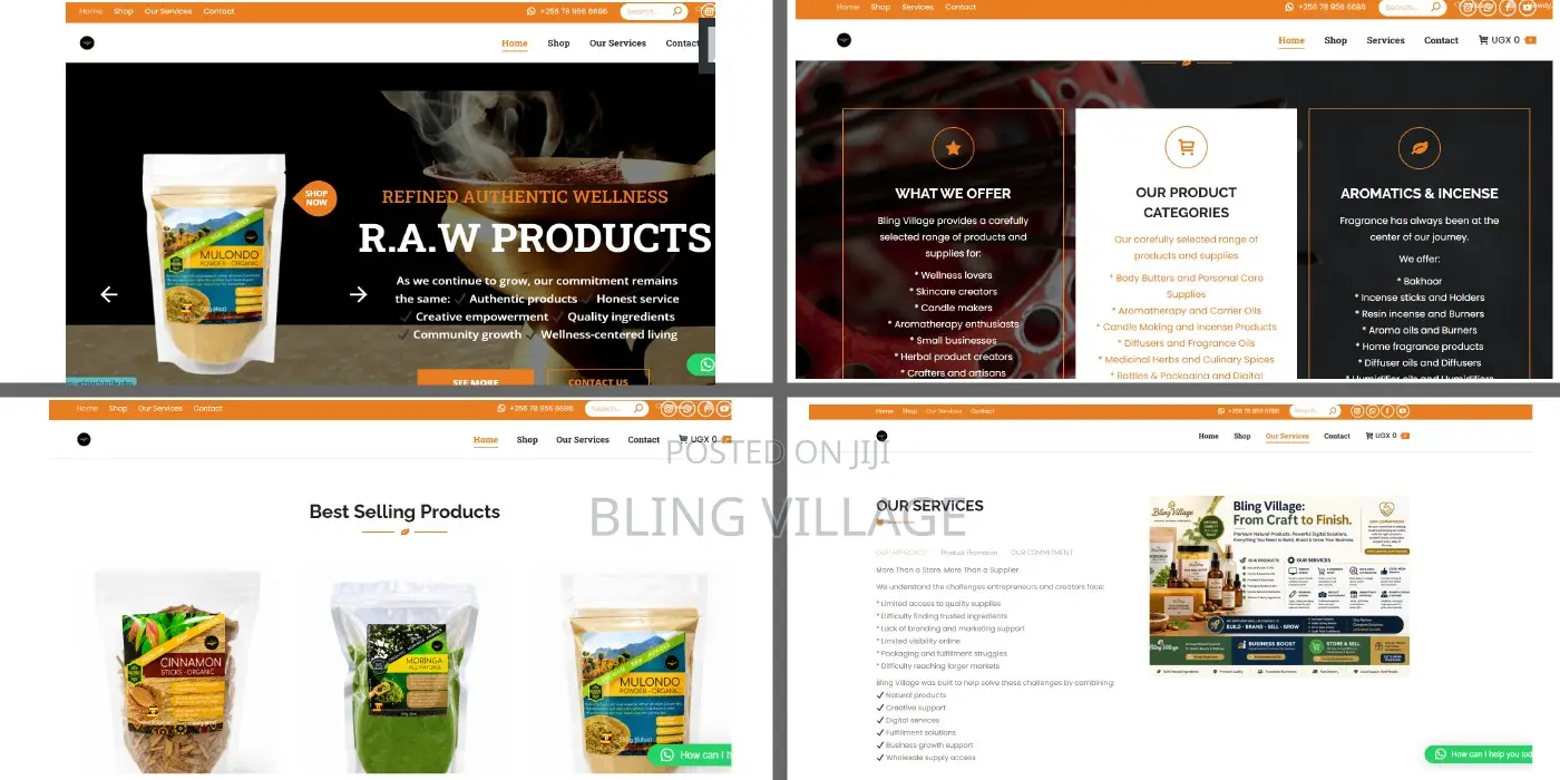Web Development Basic Informational Website 1-3 Pages