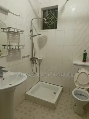 2bdrm Apartment in Fs Properties Ltd, Nakawa for rent