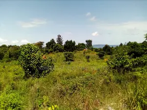 Beautiful Lake View Land for Sale – Mpata, Mukono