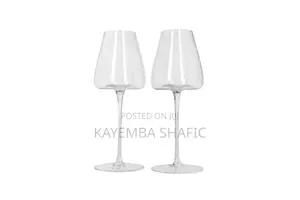 Danny Home Burgundy Wine Glasses Set (12 Pieces)