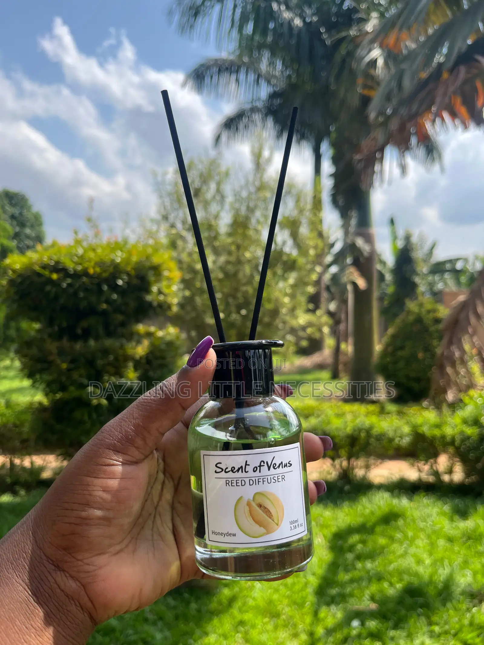 Scent of Venus Reed Diffuser - Honey Dew Flavor (100mls)