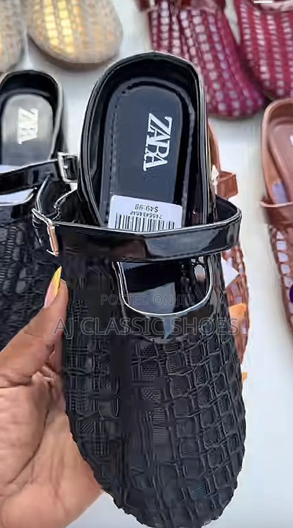 Zara Mesh Moles