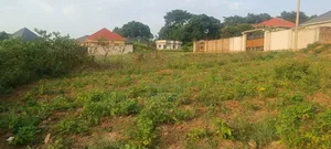 Quick Sale 50x100ft Plots7