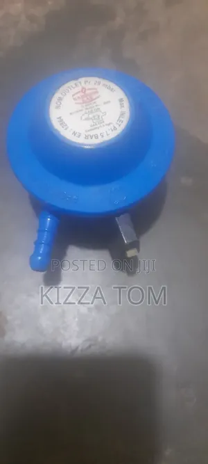 Gas Pressure Regulator