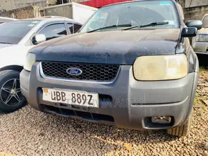 Ford Escape 2008 Gray