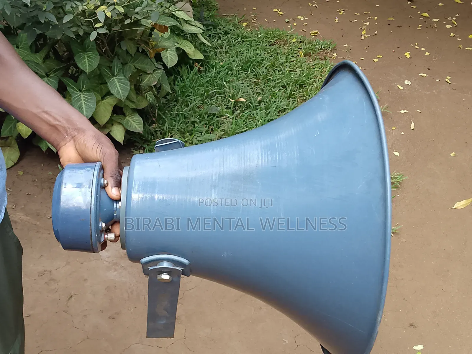 Horn Speaker