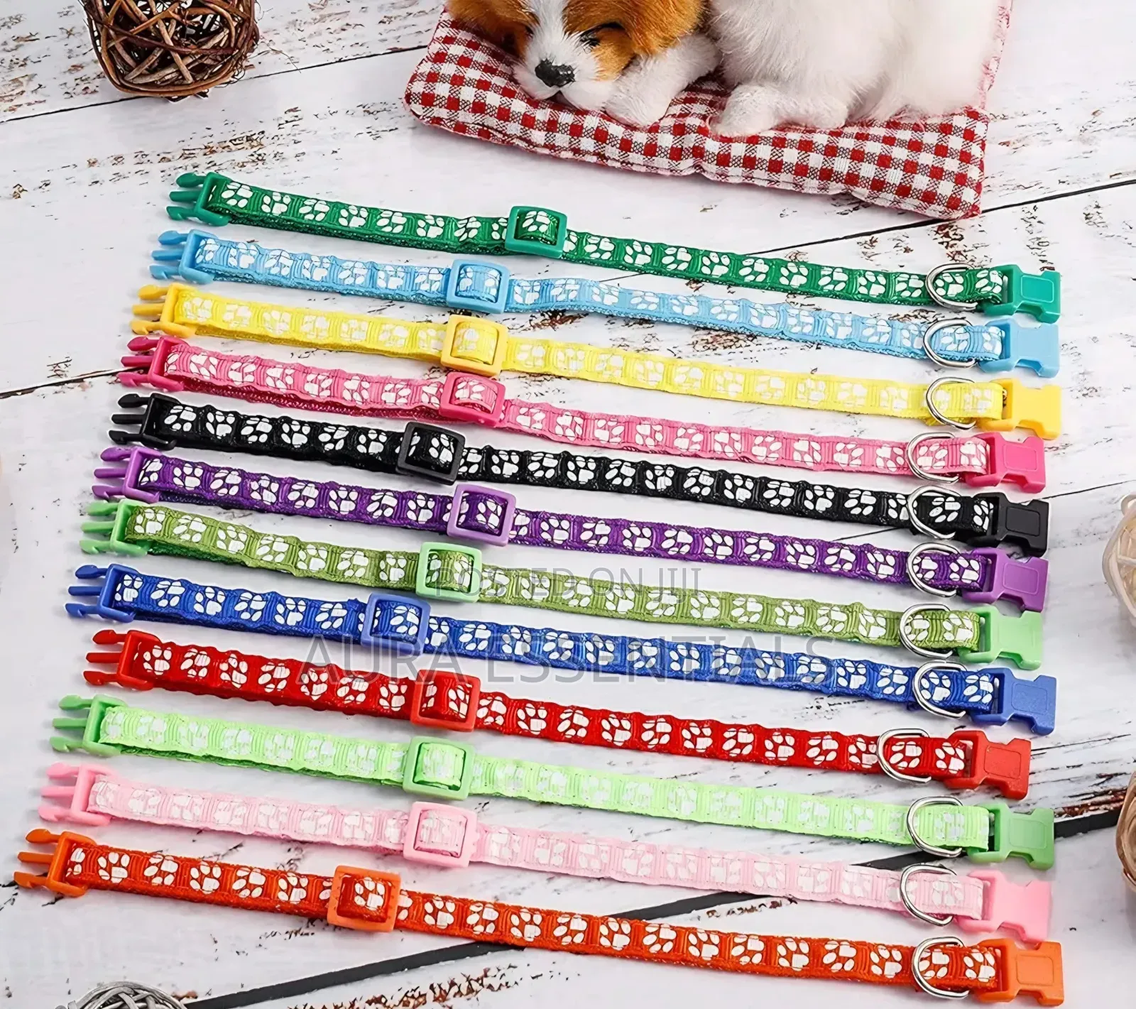 12 Pack Cat Collars