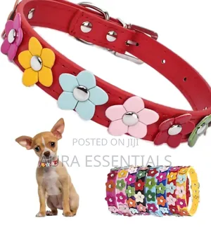 Dog Leather Collars With Fancy Pretty Colorful Flowers