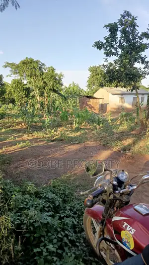 A Plot for Sale in Kasanjje