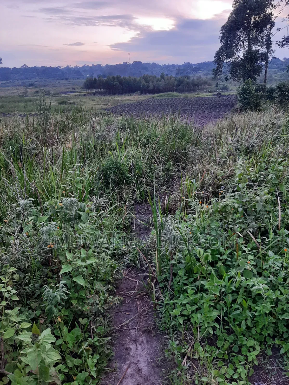 Land for Sale