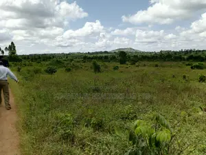 Plot on Quick Sale – Nsanji, Masaka Road