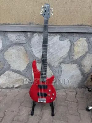 Irin 5 String Bass Guitar