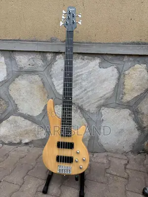 Irin 5 String Bass Guitar