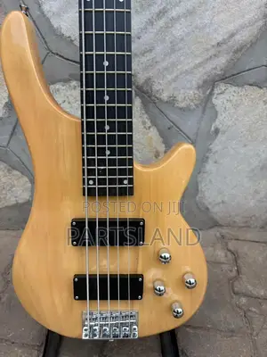Irin 5 String Bass Guitar