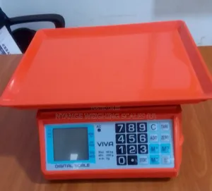 Retail Shop Weigh Portable Weighing Scale 40kg Digital Weighing Scale