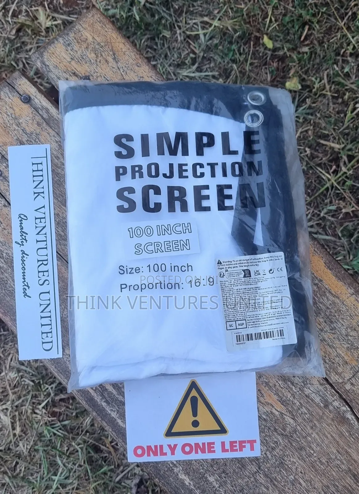 100-inch Projector Screen