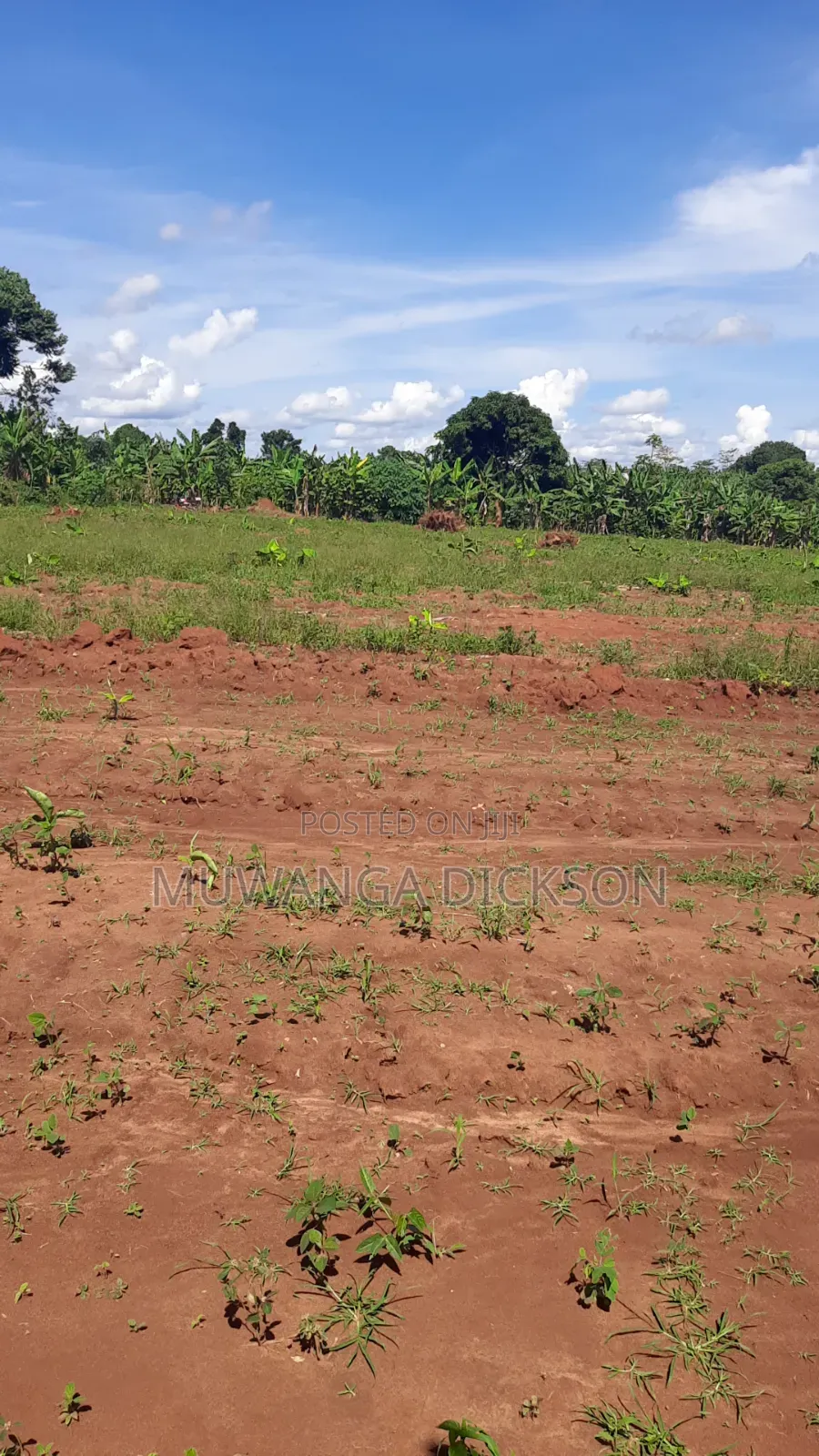Land for Sale