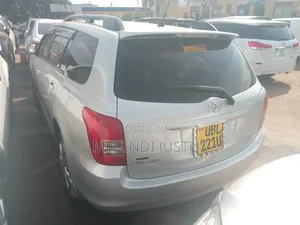 Toyota Corolla Fielder 2009 Silver