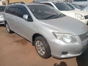 Toyota Corolla Fielder 2009 Silver