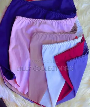 Ladies Seamless Knickers