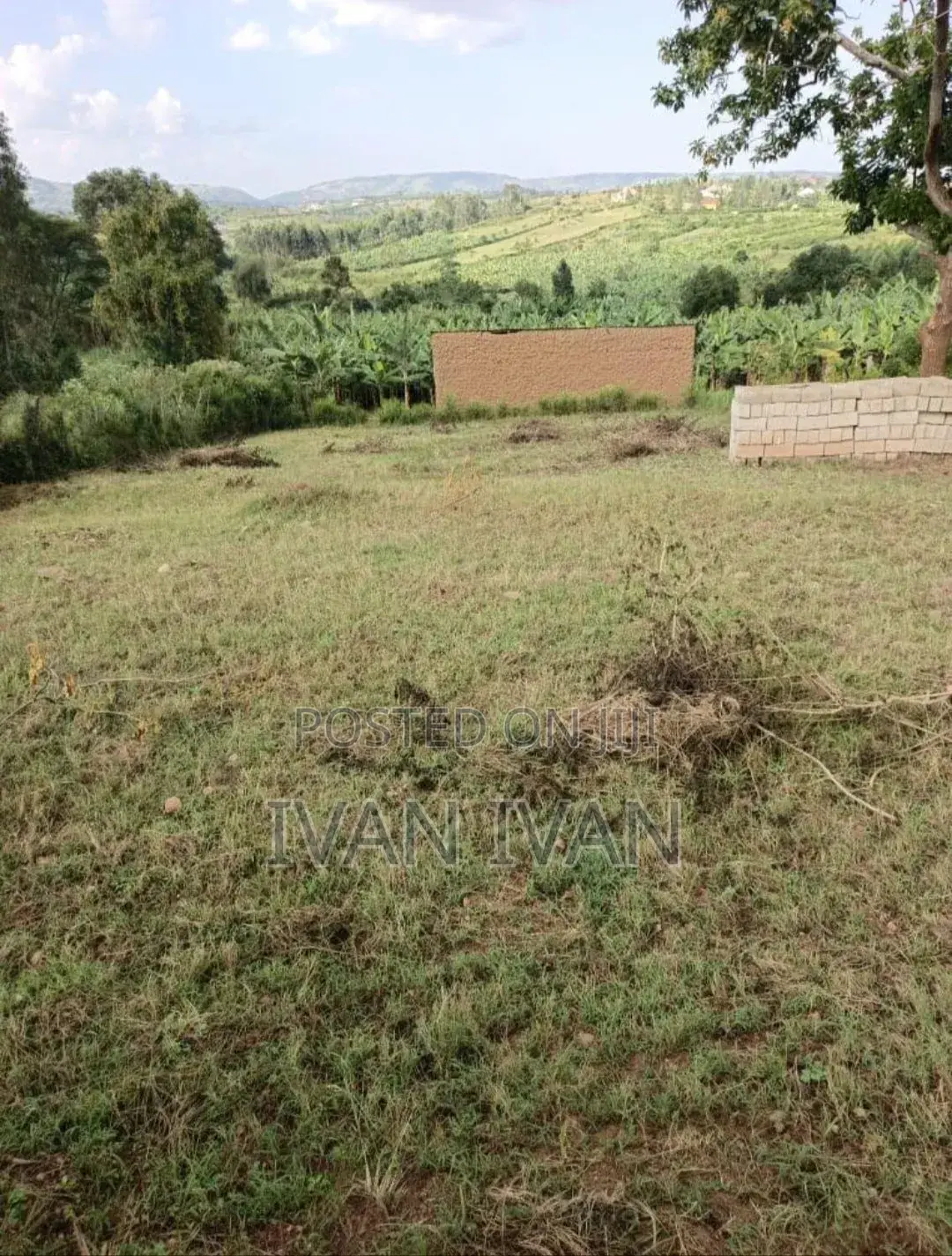 Plot For Sell 50 By 100