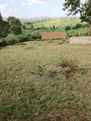 Plot For Sell 50 By 100
