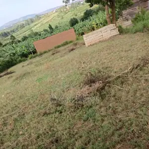 Plot For Sell 50 By 100