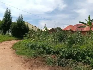 Plots on Sale – Mbugu, Matugga Semuto Road