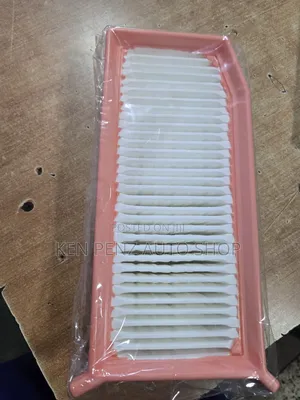 Renault 2013 - 2019 Air Filter