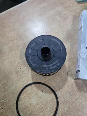 Renault 2013 - 2019 Oil Filter
