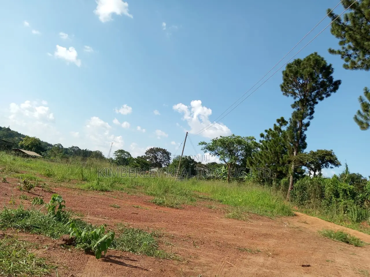 120 Acres of Agricultural Land for Sale – Nakaseke Wakyato
