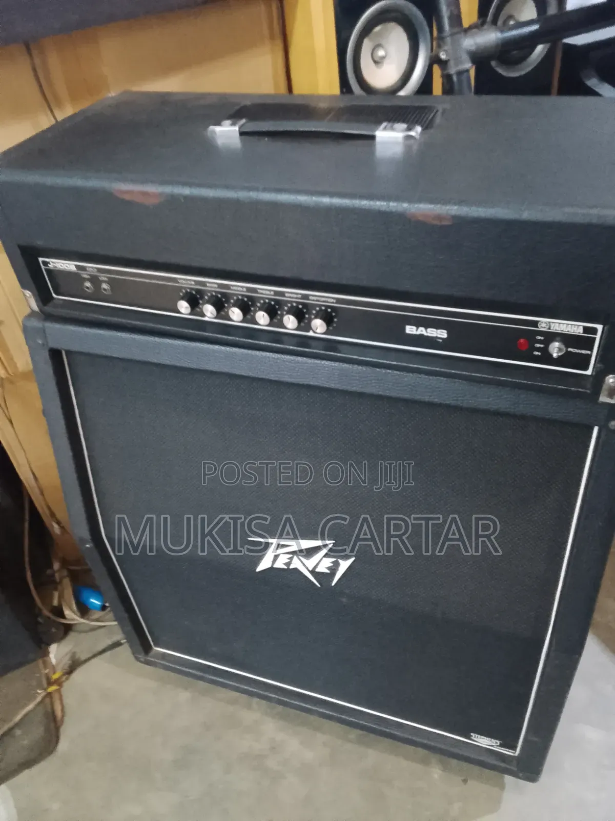 Peavey Combo Bass