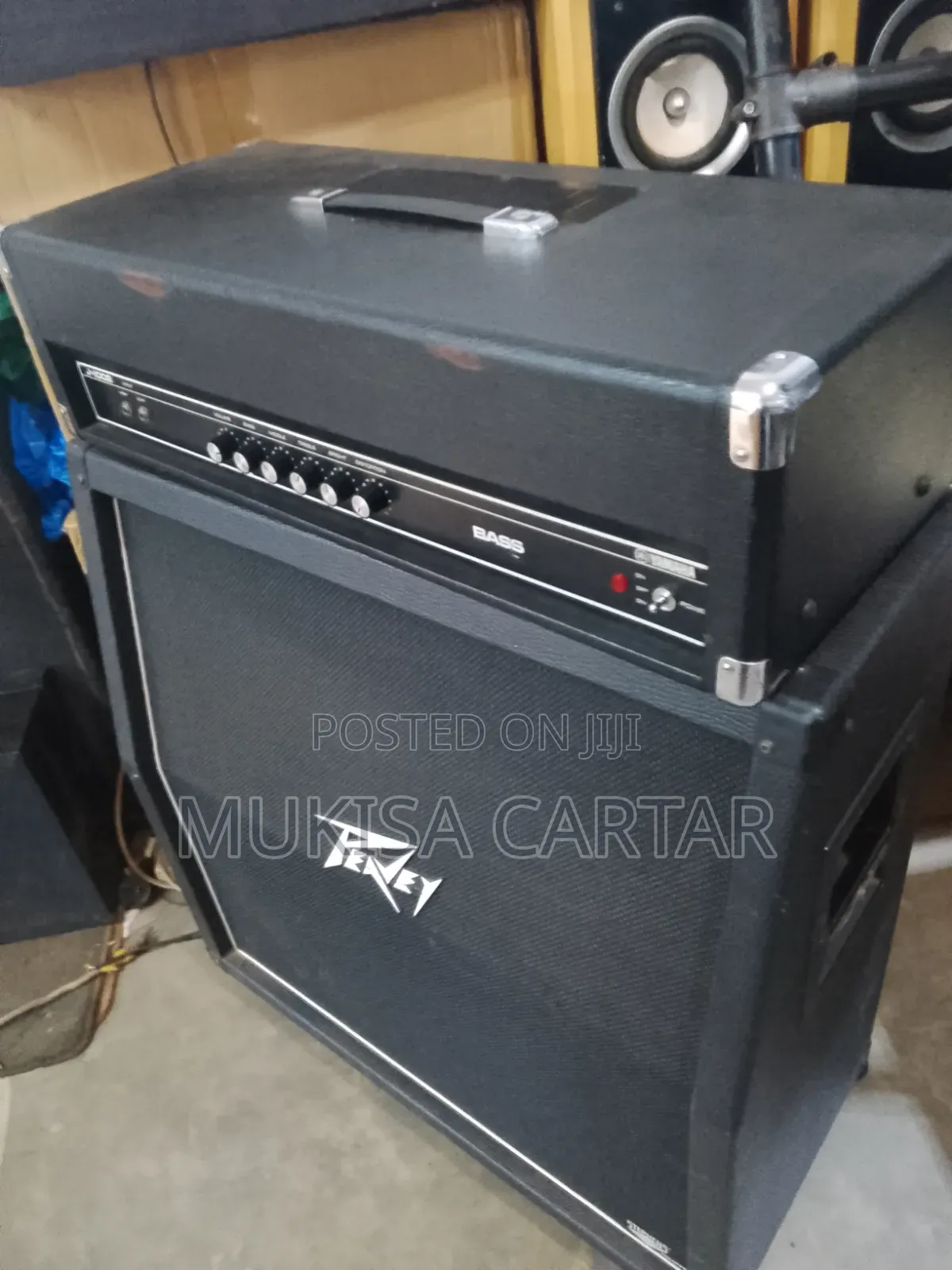 Peavey Combo Bass