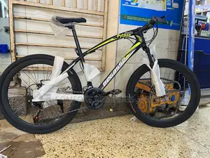 Python Bicycle Size 26 Black and Green