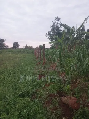 Land for Sale at Kasanje Ziba Road Size 1/5 Acres