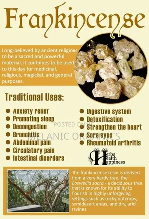 Frankincense Resin