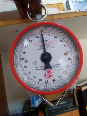 Laundry Weigh 100kg Weighing Scale Weigh Portable Weighing Scale