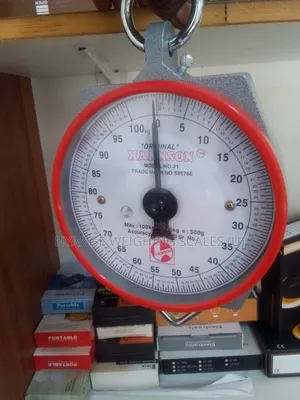 Cheap Weigh Scale Mechanical Weigh Hanging Weighing Scales 100kg [53]