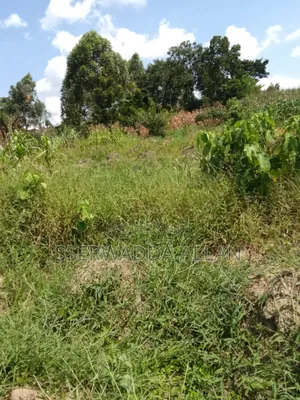 2 Acres in Buyala for Sale