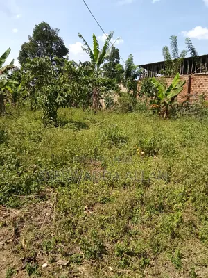 50 X 100ft Plot in Buyala for Sale