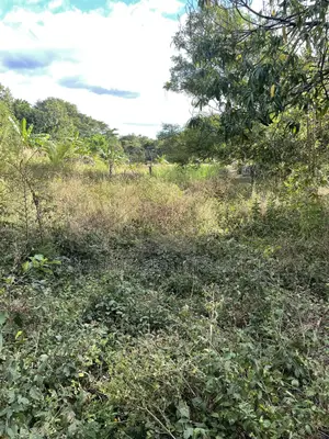 Prime Plot for Sale – Gayaza (Zirobwe Visionary Estate)