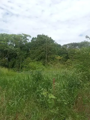 Prime Plot for Sale – Gayaza (Zirobwe Kyetume Estate)