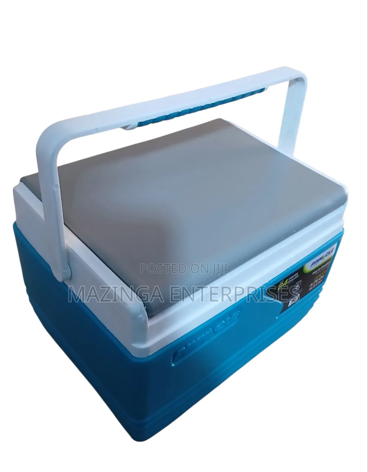 Picnic Cooler – 4.5 Liter Hard Cooler Box
