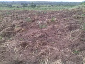 Prime Plot for Sale – Busika (Kibanga Rock Estate)