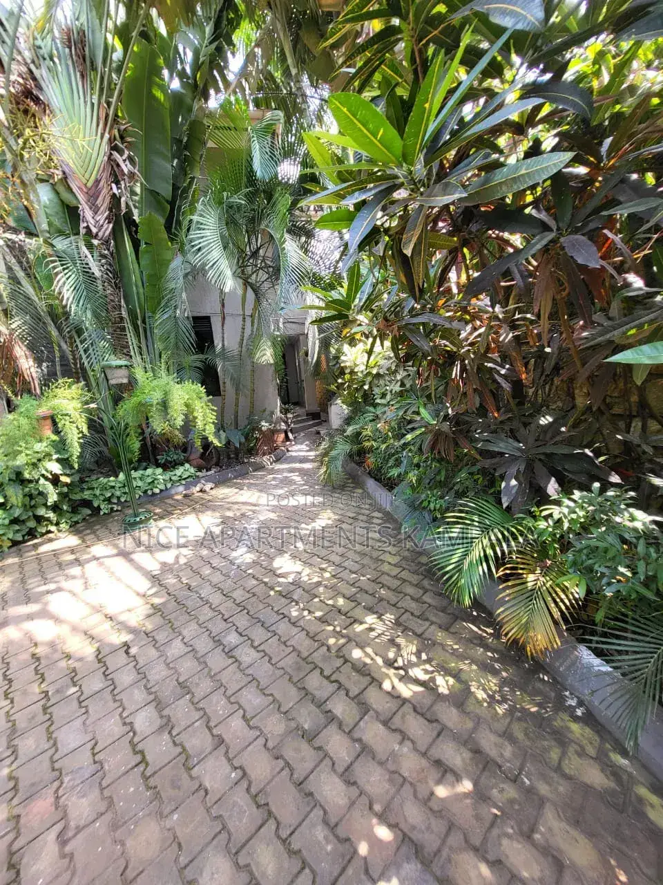 5bdrm Duplex in Muyenga, Central Division for rent