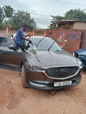 Denis Car Privacy Windshield Tints and Ceramic Tints