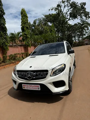 Denis Car Privacy Windshield Tints and Ceramic Tints